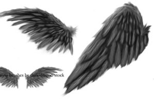 photoshop wing brushes