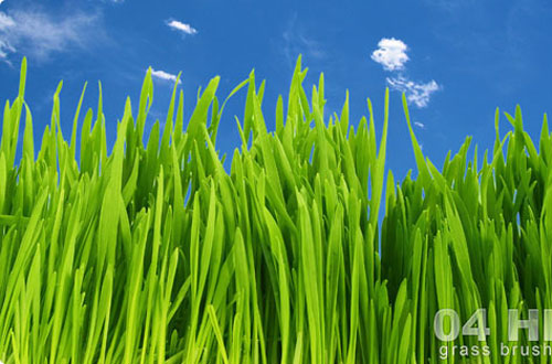 photoshop grass brush