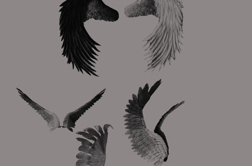 photoshop wing brushes