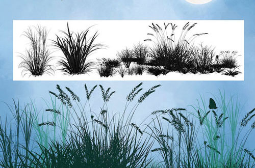 photoshop grass brush