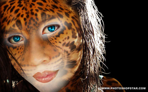 photoshop tutorials 2012
