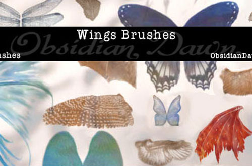 photoshop wing brushes