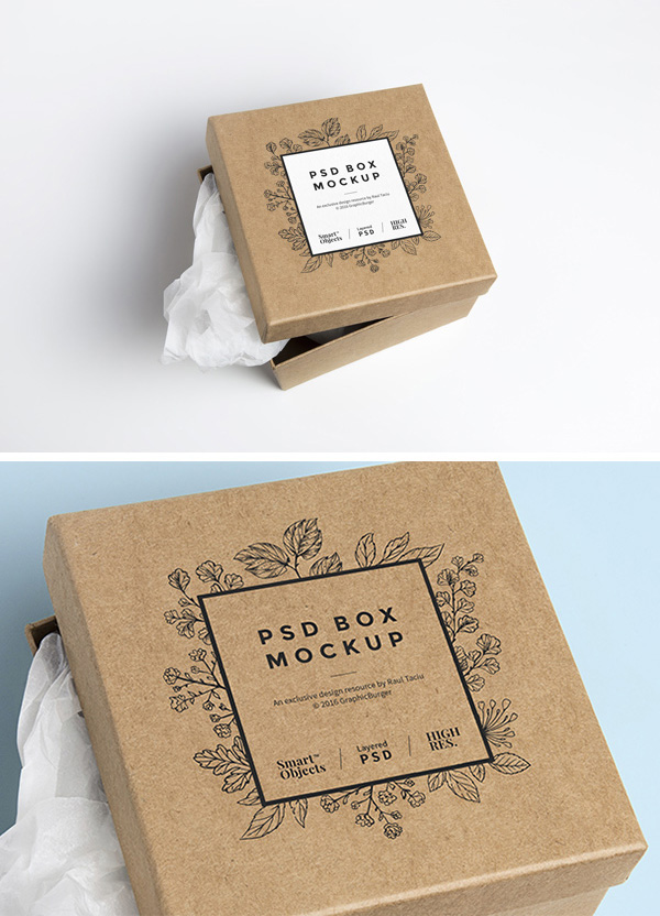 5.psd mockup