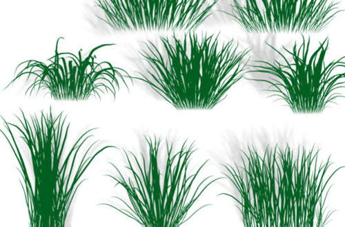 photoshop grass brush